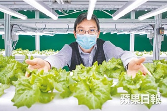 社企「疫」市求變